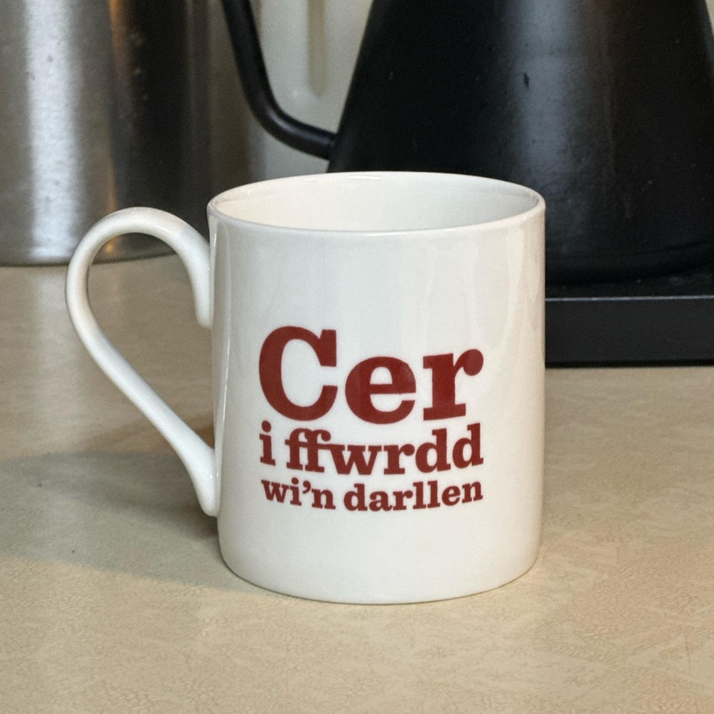 Welsh tea mug Go Away, I’m Reading